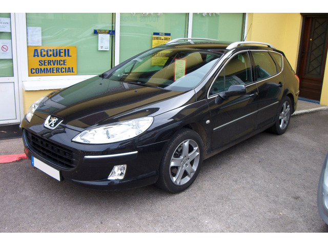 Moldura cromada de contorno de los cristales laterales Peugeot 407 SW