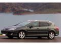 Moldura cromada de contorno de los cristales laterales Peugeot 407 SW