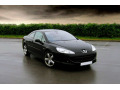 Moldura cromada de contorno de los cristales laterales Peugeot 407