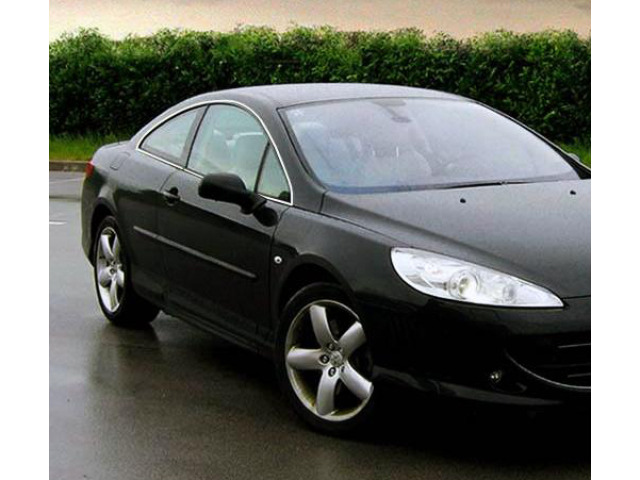 Moldura cromada de contorno de los cristales laterales Peugeot 407