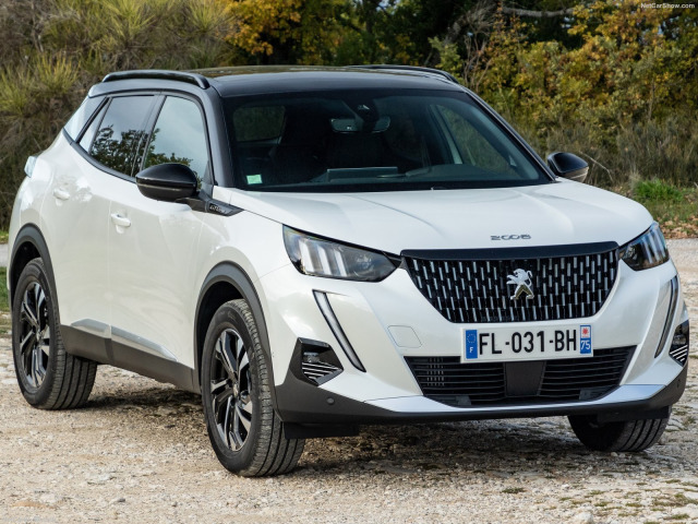 Moldura cromada para antinieblas Peugeot 2008 1926