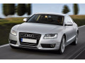Moldura de calandria cromada Audi A5 Cabriolet 09-11 Audi A5 Coup&eacute; 07-11 Audi A5 Sportback 09-11
