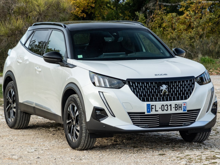 Moldura de calandria cromada Peugeot 2008 19-26