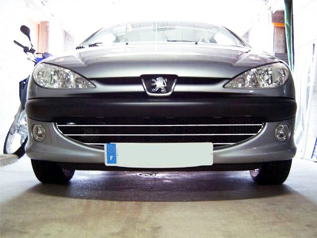 Moldura de calandria cromada Peugeot 206 Peugeot 206 CC Peugeot 206 SW nido de abejas