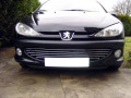 Moldura de calandria cromada Peugeot 206 Peugeot 206 CC Peugeot 206 SW