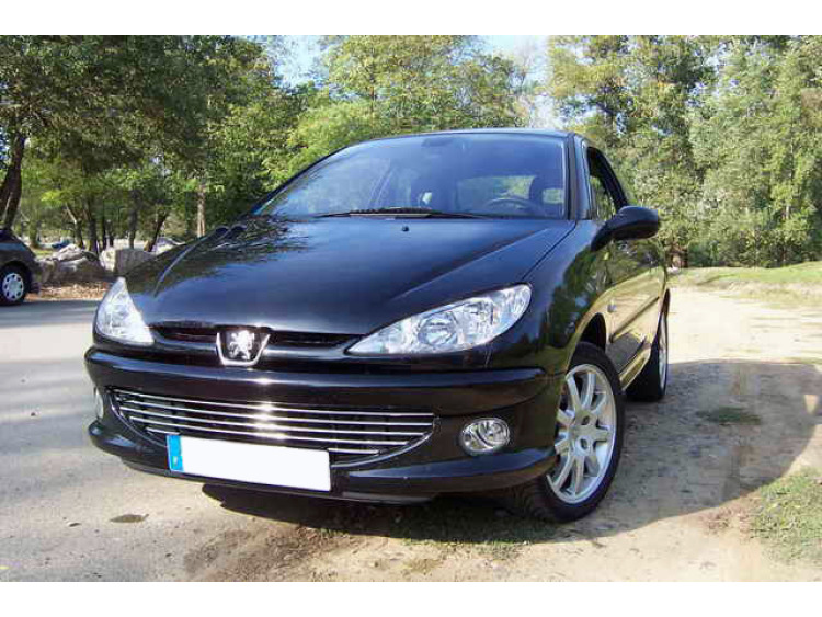 Moldura de calandria cromada Peugeot 206 Peugeot 206 CC Peugeot 206 SW