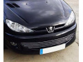 Moldura de calandria cromada Peugeot 206 Peugeot 206 CC Peugeot 206 SW