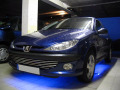 Moldura de calandria cromada Peugeot 206 Peugeot 206 CC Peugeot 206 SW