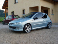 Moldura de calandria cromada Peugeot 206 Peugeot 206 CC Peugeot 206 SW