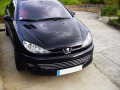Moldura de calandria cromada Peugeot 206 Peugeot 206 CC Peugeot 206 SW