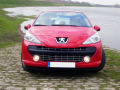 Moldura de calandria cromada Peugeot 207 06-12 Peugeot 207 CC 07-15 Peugeot 207 SW 07-13