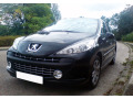 Moldura de calandria cromada Peugeot 207 06-12 Peugeot 207 CC 07-15 Peugeot 207 SW 07-13
