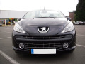 Moldura de calandria cromada Peugeot 207 06-12 Peugeot 207 CC 07-15 Peugeot 207 SW 07-13