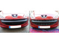 Moldura de calandria cromada Peugeot 207 06-12 Peugeot 207 CC 07-15 Peugeot 207 SW 07-13