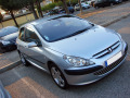 Moldura de calandria cromada Peugeot 307 01-05 Peugeot 307 CC 01-05 Peugeot 307 SW 01-05