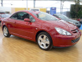Moldura de calandria cromada Peugeot 307 01-05 Peugeot 307 CC 01-05 Peugeot 307 SW 01-05