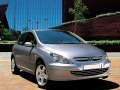 Moldura de calandria cromada Peugeot 307 01-05 Peugeot 307 CC 01-05 Peugeot 307 SW 01-05