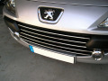 Moldura de calandria cromada Peugeot 307 05-09 Peugeot 307 CC 05-09 Peugeot 307 SW 05-09