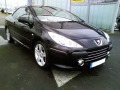 Moldura de calandria cromada Peugeot 307 05-09 Peugeot 307 CC 05-09 Peugeot 307 SW 05-09