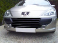 Moldura de calandria cromada Peugeot 307 05-09 Peugeot 307 CC 05-09 Peugeot 307 SW 05-09