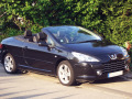 Moldura de calandria cromada Peugeot 307 05-09 Peugeot 307 CC 05-09 Peugeot 307 SW 05-09