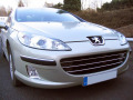 Moldura de calandria cromada Peugeot 407 & Peugeot 407 SW horizontal