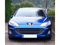 Moldura de calandria cromada Peugeot 407 & Peugeot 407 SW horizontal