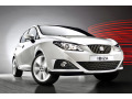 Moldura de calandria cromada Seat Ibiza 08-17 & Seat Ibiza ST